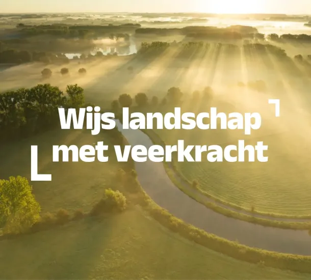 thumbnail van branding en strategie case RLVAD