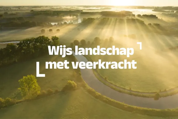 thumbnail voor branding en strategie case RLVAD